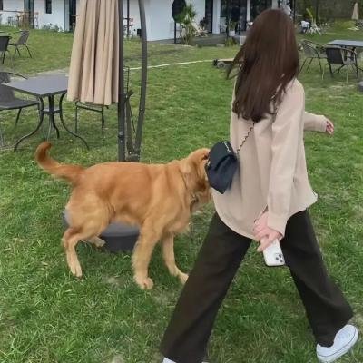 走进韩国大师